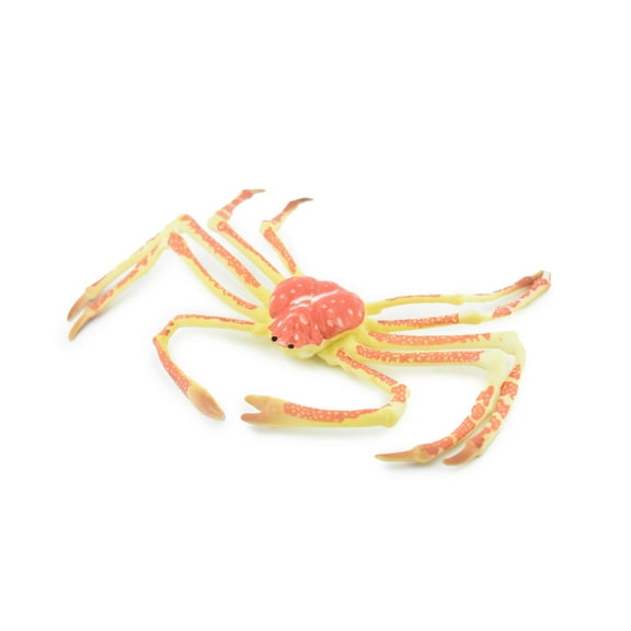 Crab, Spider Crab, Museum Quality, Hand Painted, Rubber Crustaceans, Realistic Toy Figure, Model, Replica, Kids, Educational, Gift, 7" CH271 BB124