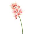 thumbnail image 1 of Truffe Orchidée-9 Têtes Tige Florale&44; Rose & Blanc, 1 of 1