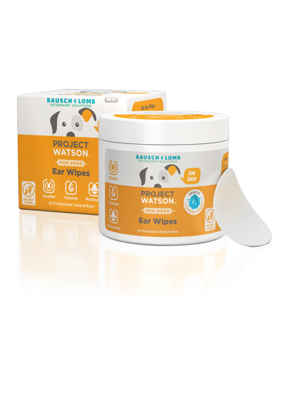 Dog Ear Care in Dog Health and Wellness