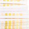 thumbnail image 5 of 1 Bottle 100Pcs Urine Test Strips 10 Parameters Reagent Strips for Urinalysis to Monitor Body Health Levels, 5 of 5