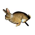 thumbnail image 6 of GZJCKJY Rabbit Acrylic Outdoor Garden Ground Insert Garden Garden Decoration Insert Card Garden Supplies, 6 of 8