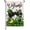 -, variant on Welcome St. Patrick''s Day Mouse Decorative Garden Flag, Green Black Shamrock Clover Polka Dot Top Hat Yard Lawn Outside Decor, Gold Coin Irish Holiday Outdoor Home Decoration Double Sided 12x18