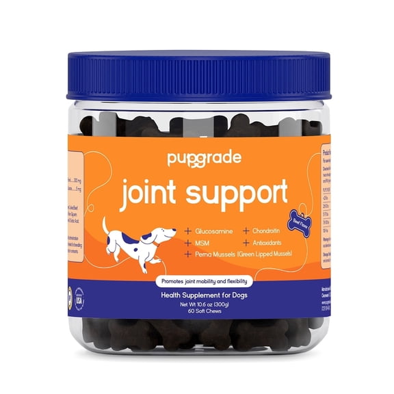 PupGrade Joint Support Soft Chews for Dogs with Perna, Glucosamine, Chondroitin, MSM - Beef Flavor, 60 Count