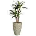 thumbnail image 1 of Artificial Corn Plant 58" Fake Plant Real Touch with Planter, 1 of 3