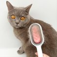 thumbnail image 2 of Pet Hair Remover For Dog & Cat, Silicone Dog Hair Brush, Cat Hair Comb, Pet Grooming Massage Tool, 2 of 10