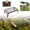 B, variant on Portable Barbecue Grill Outdoor Camping Foldable Metal BBQ Rack with Storage Bag Picnics Backyard Cookouts