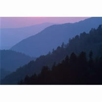 Tennessee - United States of America - Sunset Light Filtering Through Misty Mountain Ridges At The Great Smoky Mountains National Park Poster Print - 34 x 24 - Large