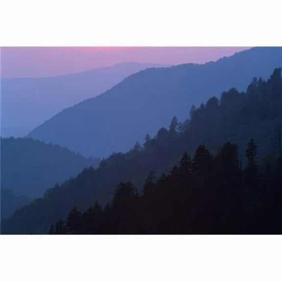 Tennessee - United States of America - Sunset Light Filtering Through Misty Mountain Ridges At The Great Smoky Mountains National Park Poster Print - 34 x 24 - Large
