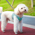 thumbnail image 4 of BeesClover Pet Chest Strap Reflective Vest With Leash Outdoor Walking Lead Leashes Harness Pet Accessories, 4 of 9