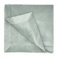 thumbnail image 3 of Loft Living Sicily Velvet Indoor Throw 50 x 60 in Silver, 3 of 6