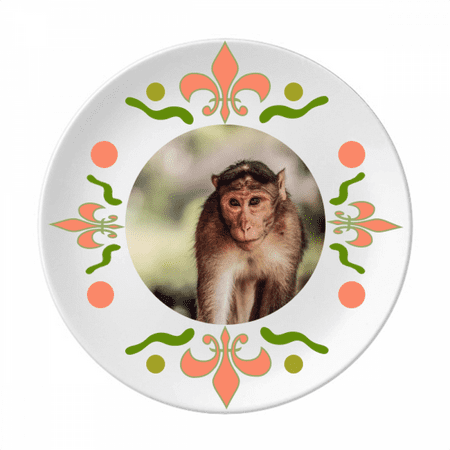 

Monkey m Animal Flower Ceramics Plate Tableware Dinner Dish