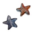 thumbnail image 2 of Cuentas de vidrio de vida marina, 14 mm, agujero mediano, pequeñas estrellas de mar, accesorios de joyería para bricolaje, pulseras, pendientes de cuentas, material de cuentas sueltas, 2 of 5