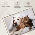 thumbnail image 6 of Elephant Stock Cozy Dog And Cat Wall Art - Horizontal Canvas Wall Art - Living Room Wall Decor - Animal Canvas - Gray And Beige Decor - 12" x 8", 6 of 8