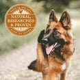 thumbnail image 5 of Eagle Pack Natural Dry Dog Food, Original Chicken & Pork, 30-Pound Bag, 5 of 10