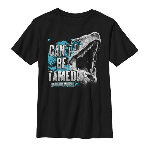 Boy's Jurassic World: Fallen Kingdom Can't Tame Graphic Tee Black Medium