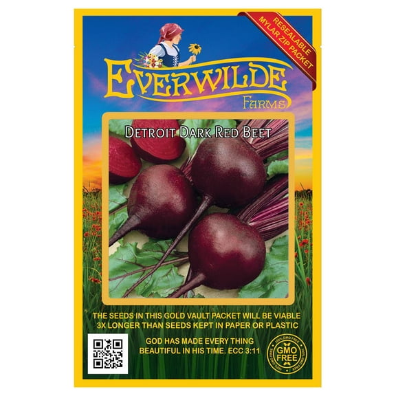 Everwilde Farms - 200 Detroit Dark Red Beet Seeds - Gold Vault Jumbo Bulk Seed Packet