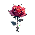 thumbnail image 4 of realistic Rose Stickers Stickers, Waterproof Rose Stickers Sticker for Water Bottle Laptop Phone Cases Planner Skateboard Luggage Helmet Party Favor Decor, Ideal for Adults Teens Teacher Rewards, 4 of 8
