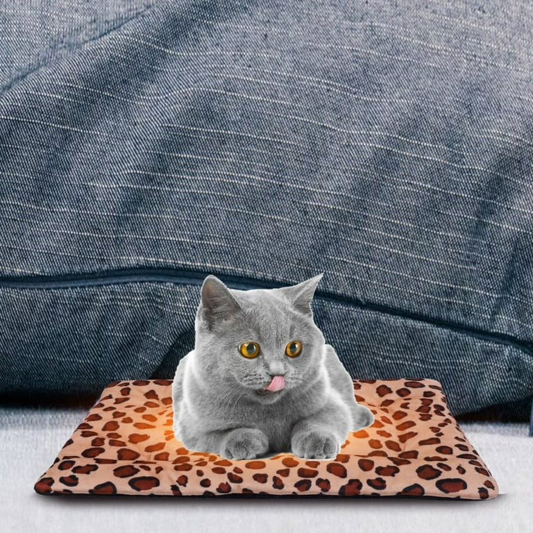 Non electric heating pad for cats hotsell