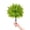 Multicolor, variant on Cadancy Artificial Eucalyptus Tree Topiary Ball Planter Fake Outdoor Bush Potted Greenery Faux Shrub Uv Resistant Front Door Porch Plants Home Garden Yard Patio Farmhouse Decor