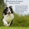 thumbnail image 3 of Rx Vitamins for Pets Phos-Bind for Dogs & Cats - Supports Normal Function & Health of Kidneys - 200 g Powder, 3 of 6