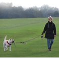 thumbnail image 4 of GHSDFBB Rope Dog Leash 6ft Long,Traffic Padded Two Handle,Heavy Duty,Reflective Double Handles Lead for Control Safety Training,Leashes for Large Dogs or Medium Dogs,Dual Handles Leads(Violet), 4 of 6
