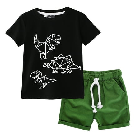 

Binwwede Little Boy’s Short-sleeved Shorts Set cute Dinosaur Round Neck Tops and Solid Color Short Pants MHX
