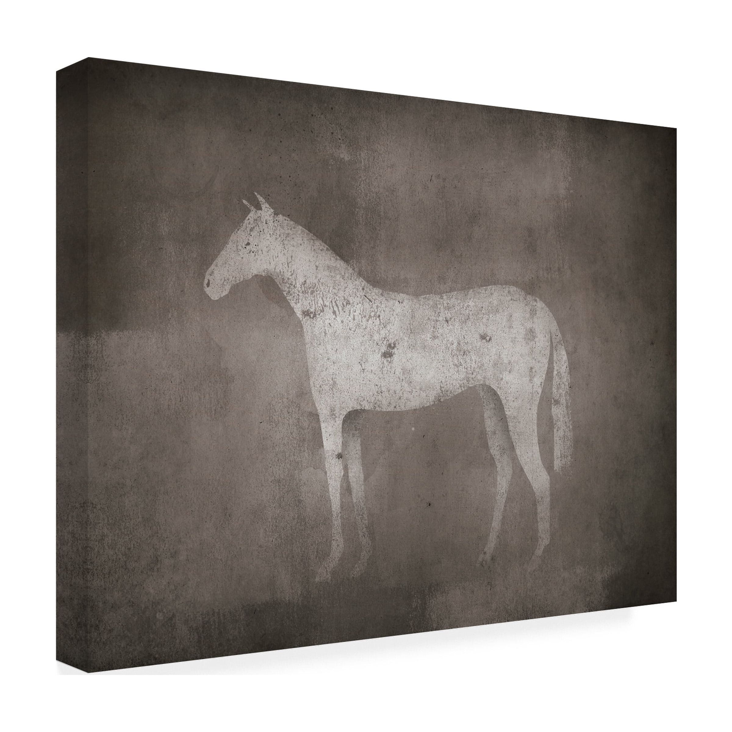 Trademark Fine Art 'White Horse on Grey' Canvas Art by Ryan Fowler