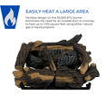 thumbnail image 2 of Procom Vent less Dual Fuel Gas Log Set - 18in., 30,000 BTU, T-Stat Control - Model# PCNSD18T, 2 of 6