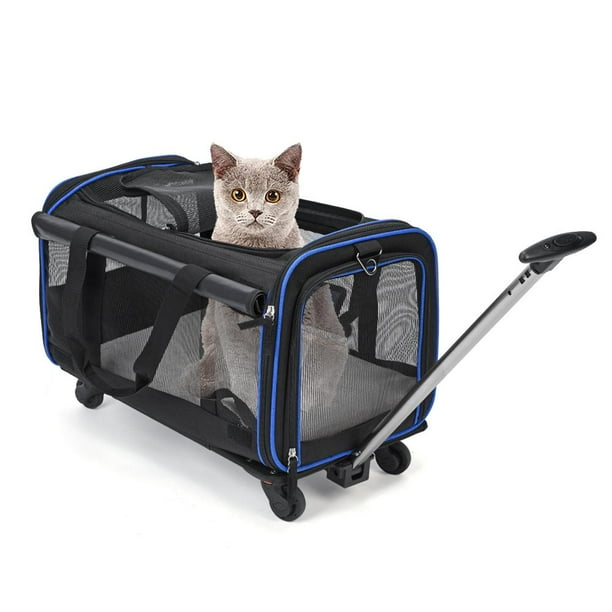 Walmart small hotsell pet carrier