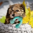 thumbnail image 4 of kusrkot Dog Chew Toy Care Molar Stick Small Medium Large Breeds 7.9CM 7.9CM, 4 of 7