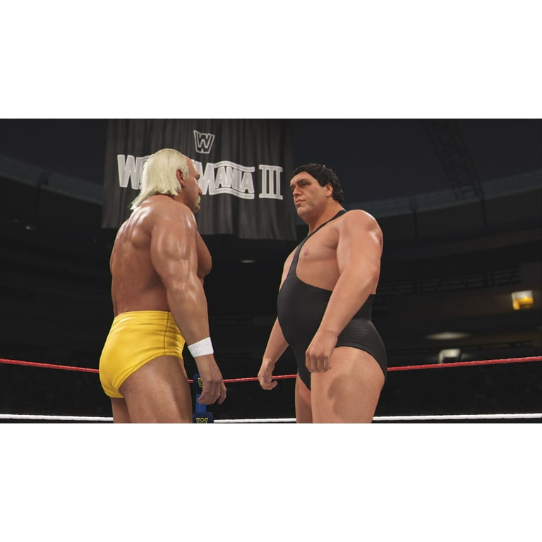 WWE 2K24 Deluxe Edition, PlayStation 4 - Walmart.com