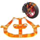 thumbnail image 1 of Correa de Amarre Universal para Rueda Trasera para Motocicletas, Correa de Tensión para Rueda Trasera para Transporte de Autos, Correa de Fijación para Vehículos de Motocicletas Eléctricas (Naranja), 1 of 5