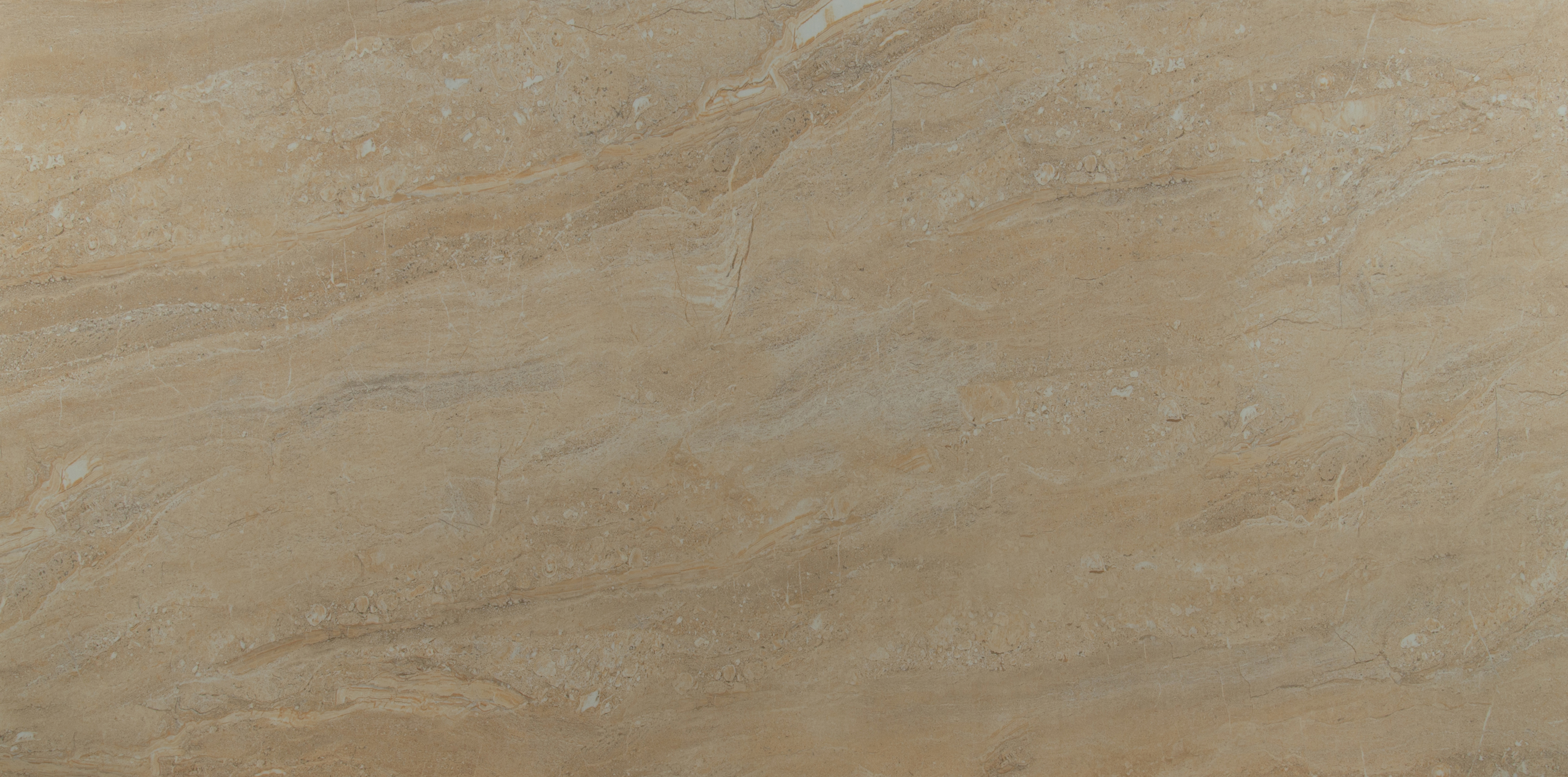 Aria Oro 24 in. x 48 in. Polished Porcelain Floor and Wall Tile (16 sq. ft. / case)