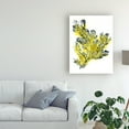 thumbnail image 3 of Trademark Fine Art 'Citron Sea Kelp IV' Canvas Art by June Erica Vess, 3 of 3