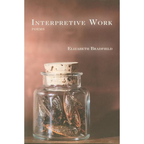 Interpretive Work (Paperback)