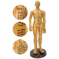 thumbnail image 2 of Human Body Acupuncture Model, Odorless Useful Body Acupuncture Model, For Massage Model Female Model,Male Model, 2 of 8