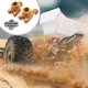 thumbnail image 4 of Bewildely Accesorio de juego de rodamientos de piezas de repuesto de taza de rueda trasera de coches de control remoto Kits de construcción modelo Oro, 4 of 6
