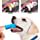 thumbnail image 4 of 10 piezas de cuidado dental TUNC cepillo de dientes suave para perros, 4 of 5