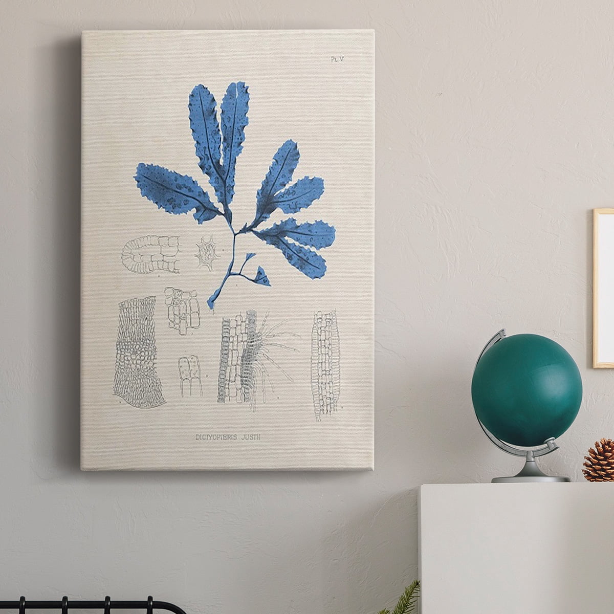 Blue Marine Algae VII Premium Gallery Wrapped Canvas - Ready to Hang