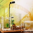 thumbnail image 4 of WRITWAA Clear Incubators for Reptile Acrylic Reptile Habitat Boxes for Pet Rearing 1 Set, 4 of 8