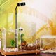 thumbnail image 4 of GOOHOCHY 1Jgo Caja Transparente Magnética Para Mantener Reptiles Y Pequeños Con Aireación, 4 of 8