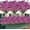 Purple, variant on Artificial Outdoor Flowers UV Resistant Fake Flowers No Fade Faux Plastic Greenery Shrubs Garden Porch Window Box Decorating(Pink)