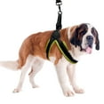 thumbnail image 2 of Sporn Easy Fit Dog Harness, Yellow, X-Large (30-41" Girth Size), 2 of 8