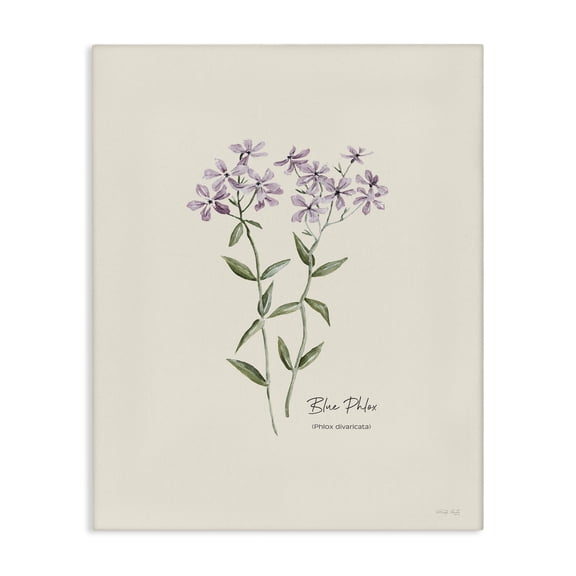 Stupell Industries Country Herb Diagram Botanical & Floral Painting Gallery Wrapped Canvas Art Print Wall Art, 16 x 20