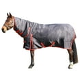 thumbnail image 1 of HYCONIC Combi Combo Neck 200g Horse Turnout Rug, 1 of 4