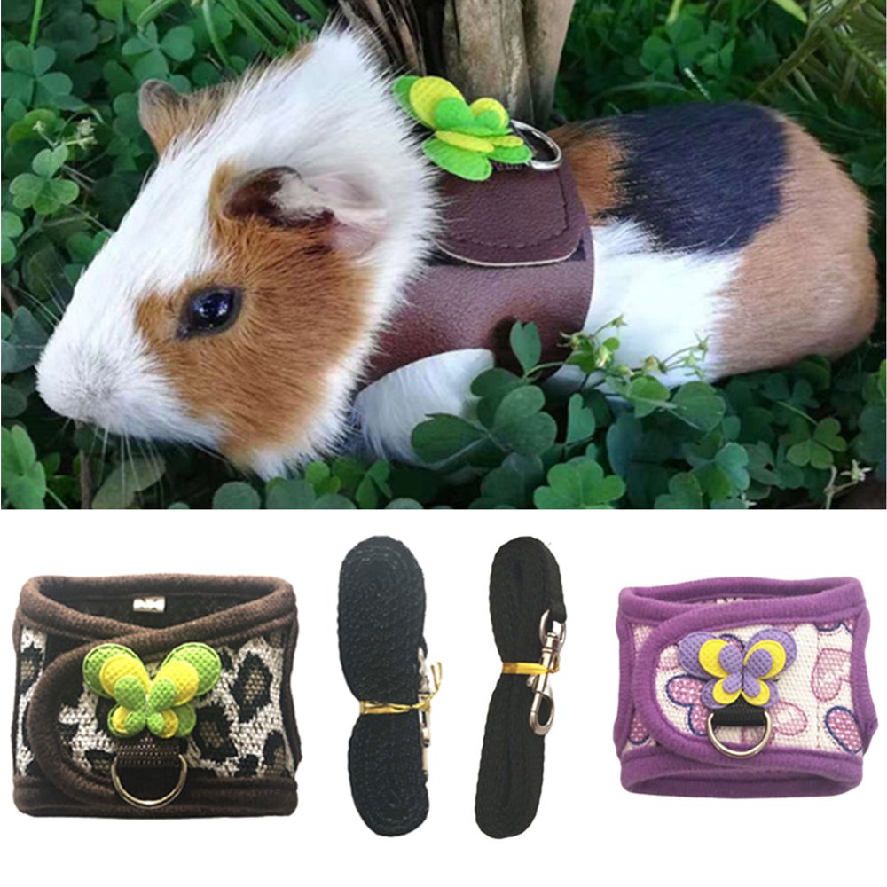 SPRING PARK Guinea Pig Harness and Traction Rope Soft Mesh Small Pet