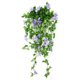 thumbnail image 1 of Petunias Falsas Morning Glory Vines Plantas Colgantes para Del, 1 of 9