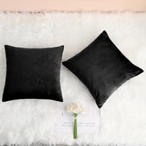 PiccoCasa 2Pcs Velvet Throw Pillow Covers Solid Decorative Cushion Covers Black 16"x16"
