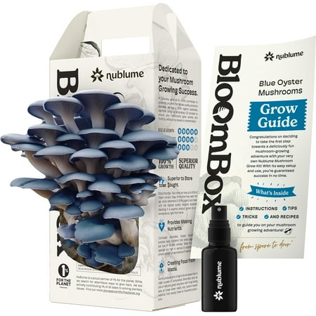 Blue Oyster Mushroom Grow Kit – Ready-to-Fruit Indoor DIY Mushroom Kit – Grow Mushrooms at Home in 7–10 Days – Easy Gourmet Umami – Culinary Grade – BloomBox Promise