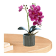 thumbnail image 3 of "Arreglo Orquídeas Artificiales Decoración 43 Cm Malubero, Violeta ", 3 of 5